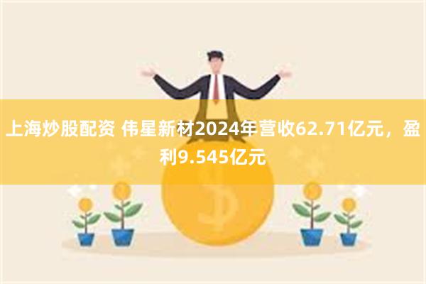 上海炒股配资 伟星新材2024年营收62.71亿元，盈利9.545亿元