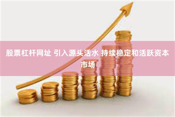 股票杠杆网址 引入源头活水 持续稳定和活跃资本市场