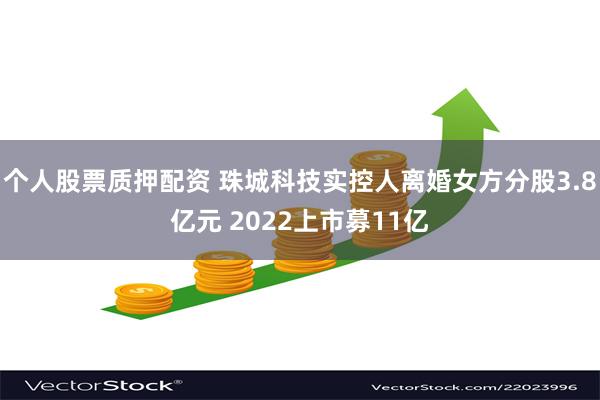 个人股票质押配资 珠城科技实控人离婚女方分股3.8亿元 2022上市募11亿