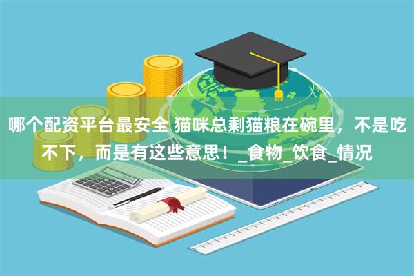 哪个配资平台最安全 猫咪总剩猫粮在碗里，不是吃不下，而是有这些意思！_食物_饮食_情况