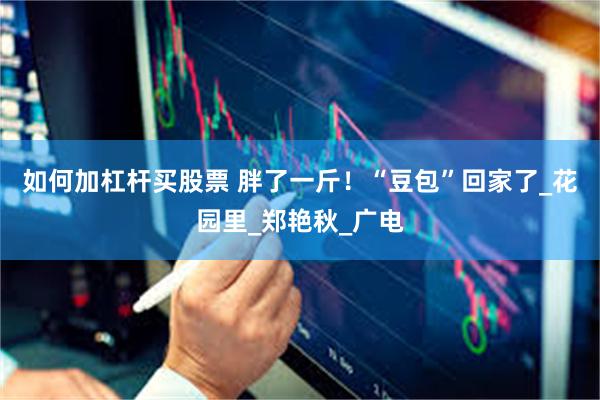 如何加杠杆买股票 胖了一斤！“豆包”回家了_花园里_郑艳秋_广电
