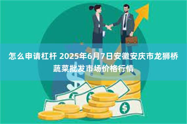 怎么申请杠杆 2025年6月7日安徽安庆市龙狮桥蔬菜批发市场价格行情