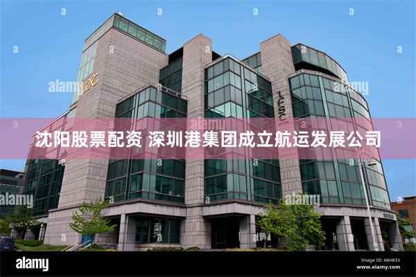沈阳股票配资 深圳港集团成立航运发展公司