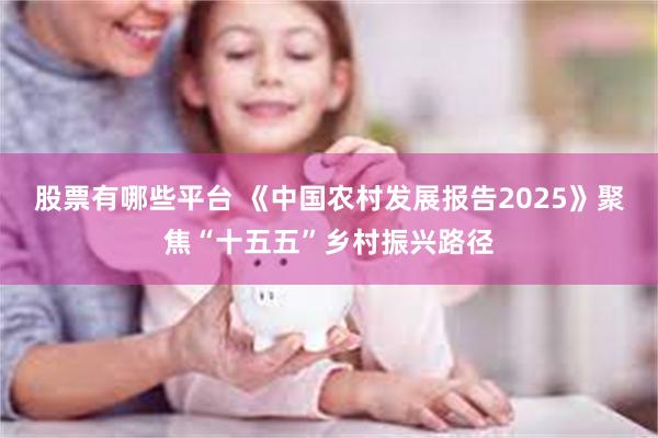 股票有哪些平台 《中国农村发展报告2025》聚焦“十五五”乡村振兴路径