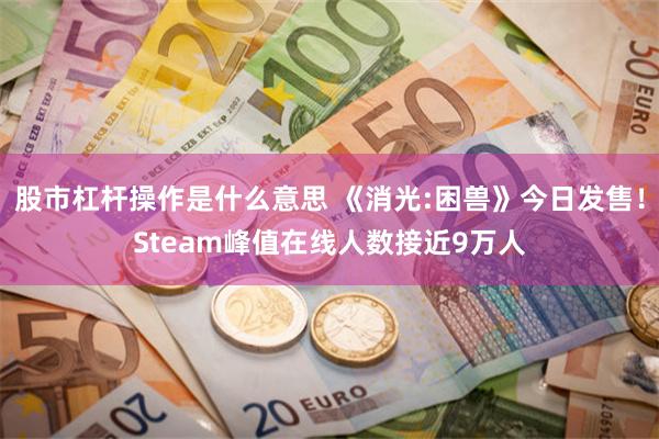 股市杠杆操作是什么意思 《消光:困兽》今日发售!Steam峰值在线人数接近9万人